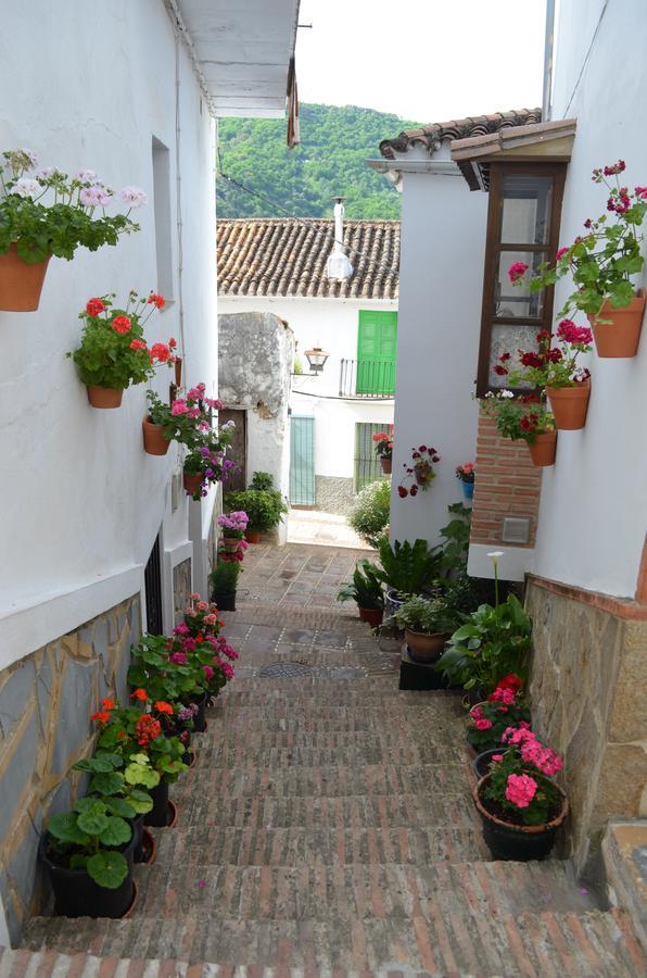 Casa La Puente Villa Jubrique Bagian luar foto