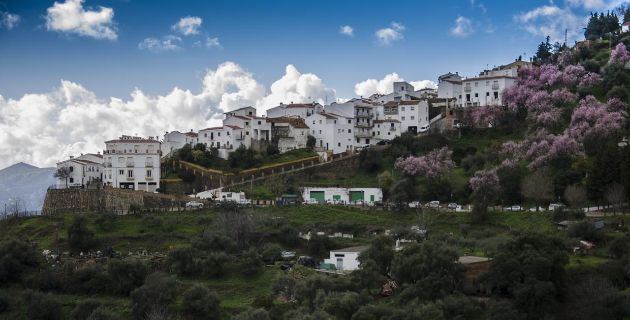 Casa La Puente Villa Jubrique Bagian luar foto